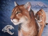 Cougar Illustration